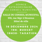 Séance du conseil municipal