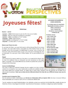 Bulletin Perspective -Décembre 2025